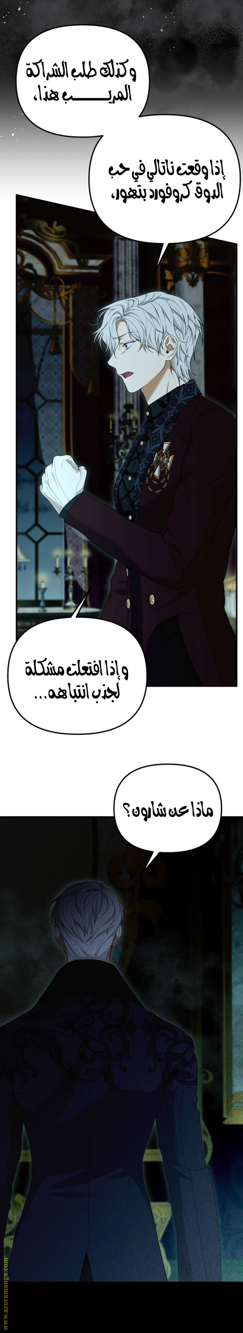 الصفحة 13
