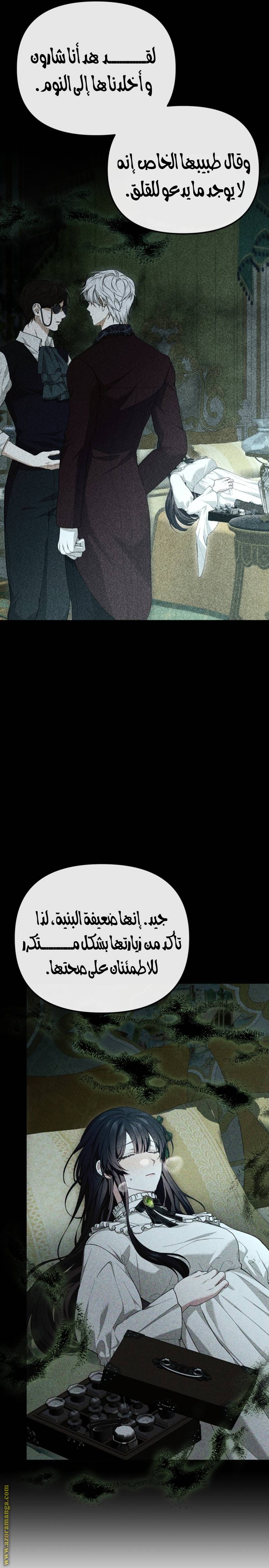 الصفحة 14