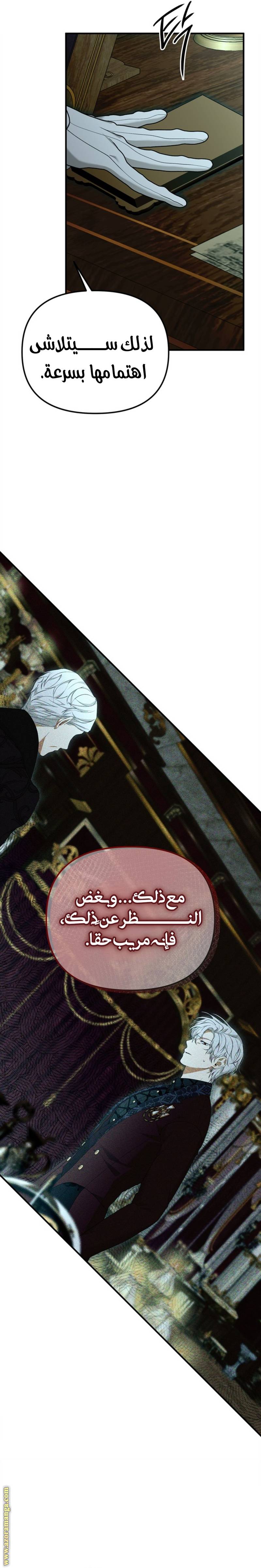 الصفحة 16