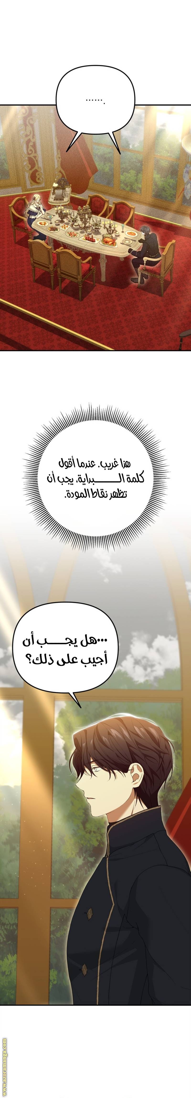 الصفحة 27