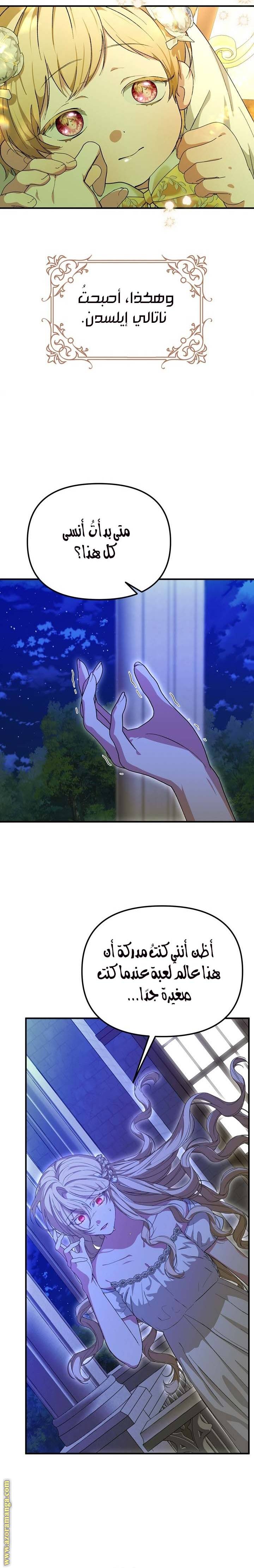 الصفحة 13