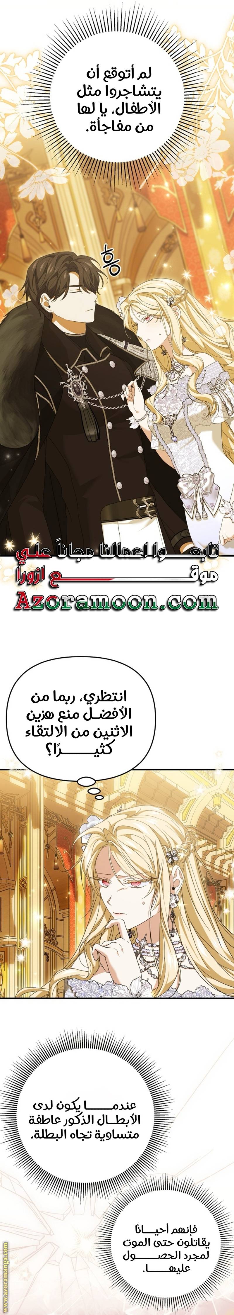 الصفحة 26