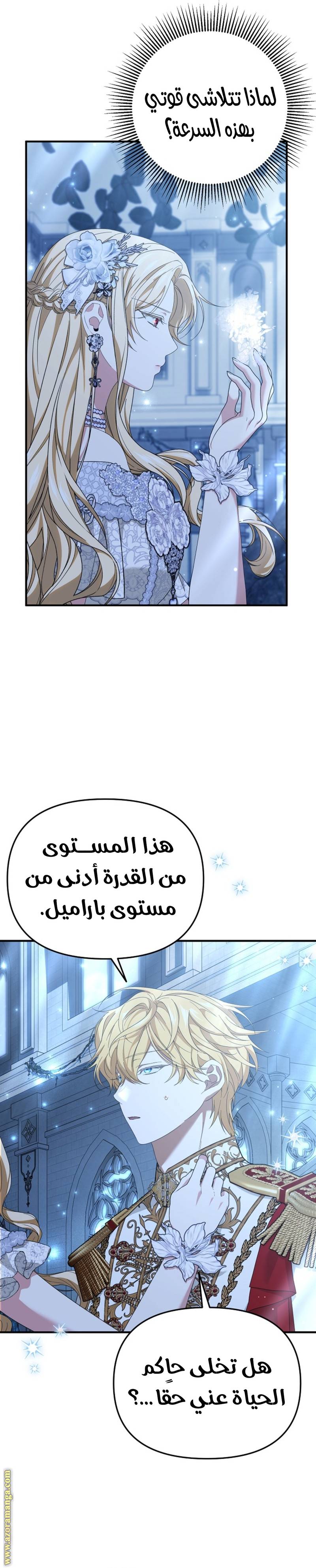 الصفحة 17