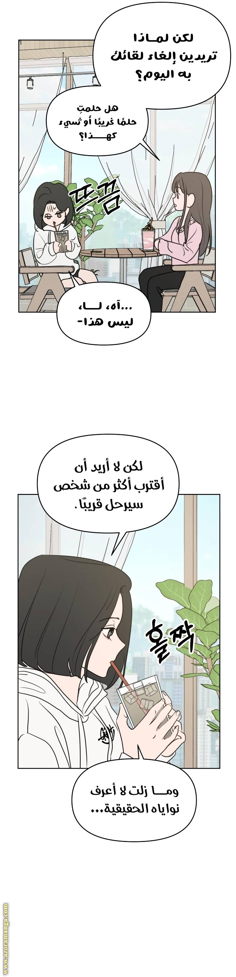 الصفحة 17
