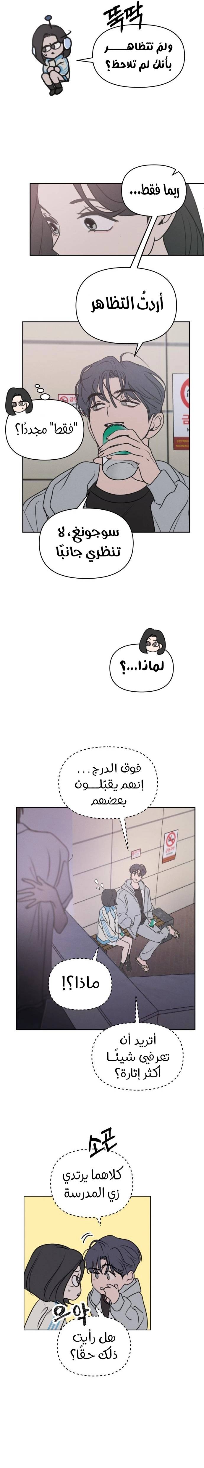 الصفحة 17