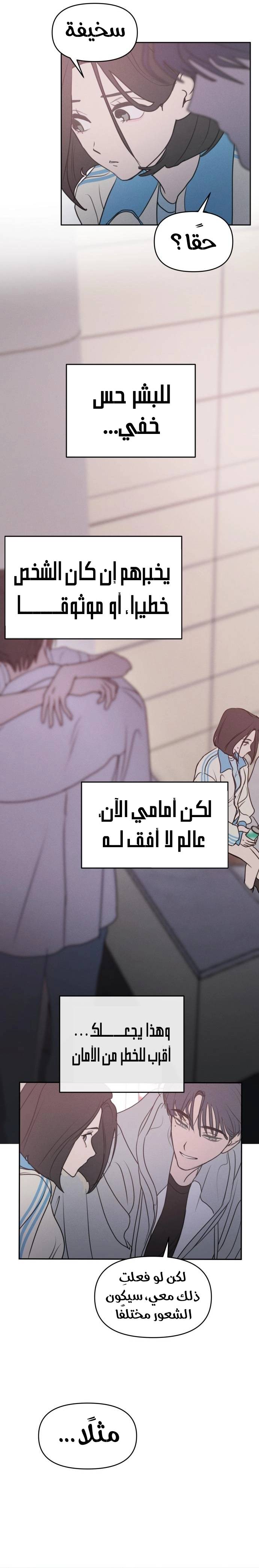 الصفحة 20