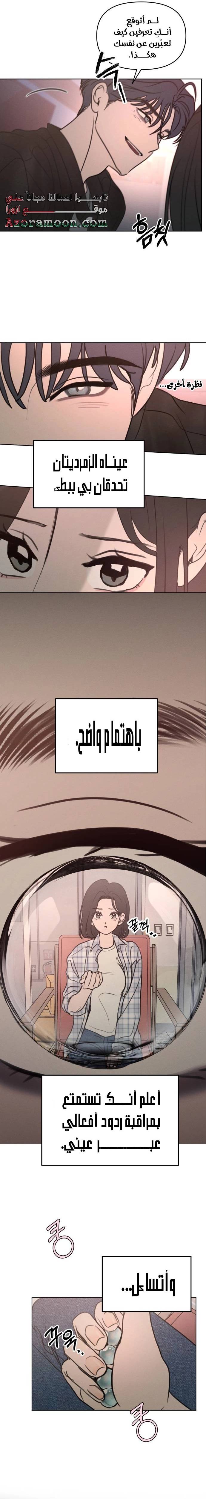 الصفحة 13