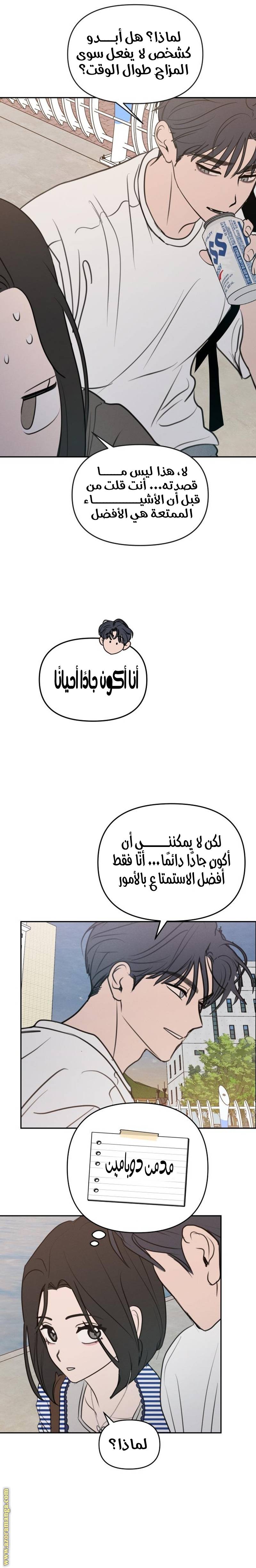 الصفحة 17