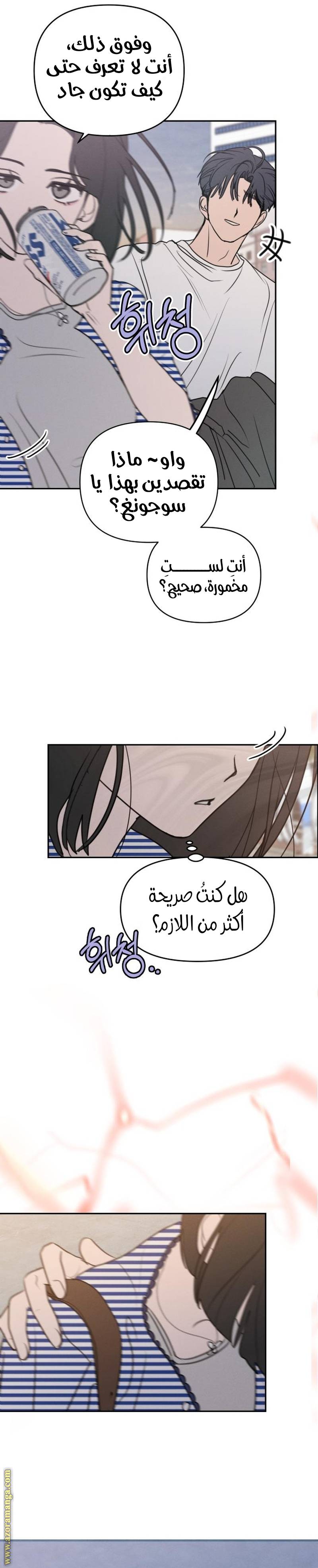 الصفحة 19