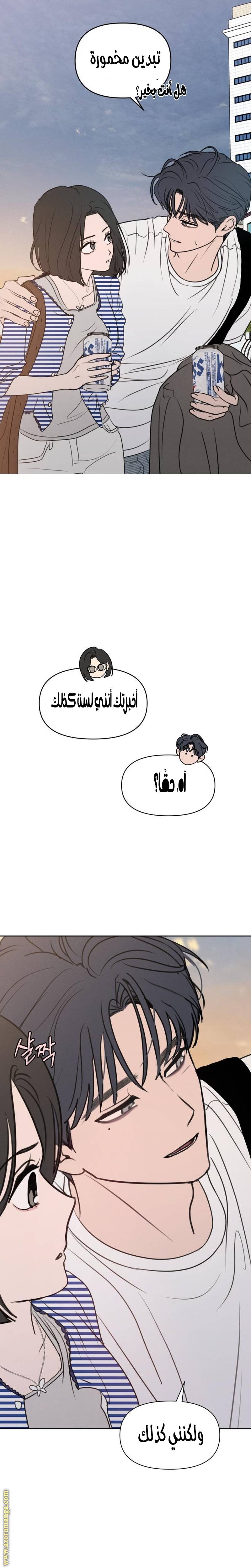 الصفحة 20