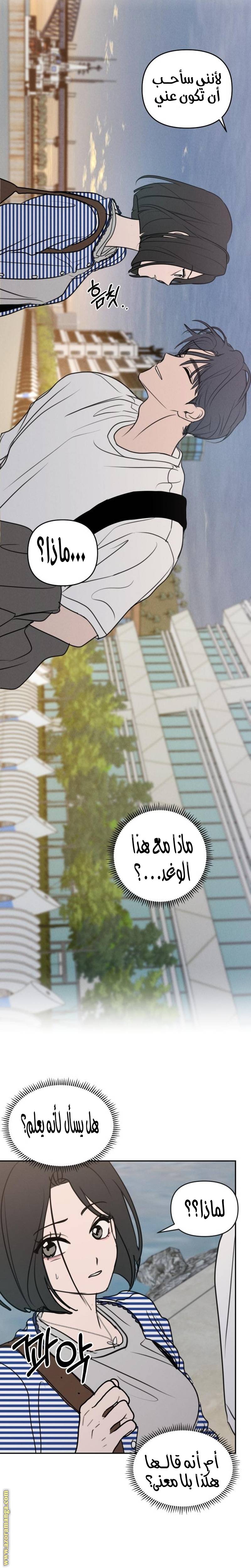 الصفحة 26
