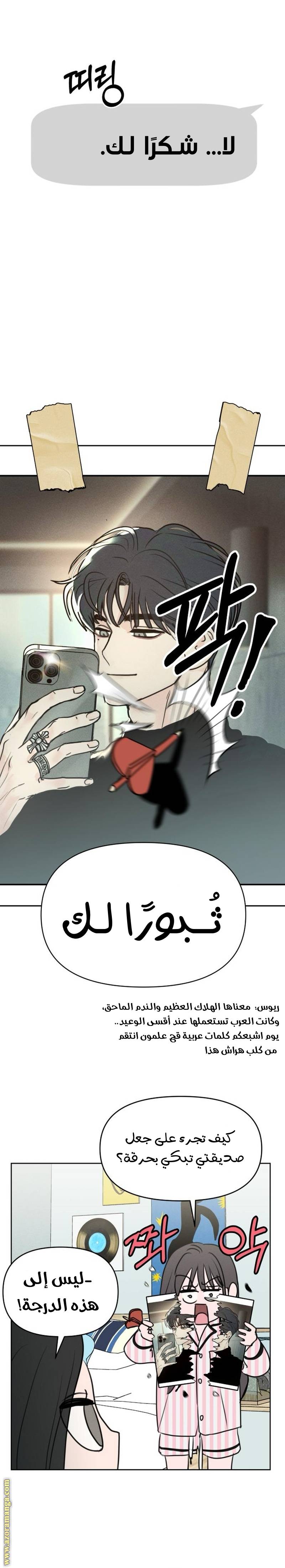 الصفحة 17