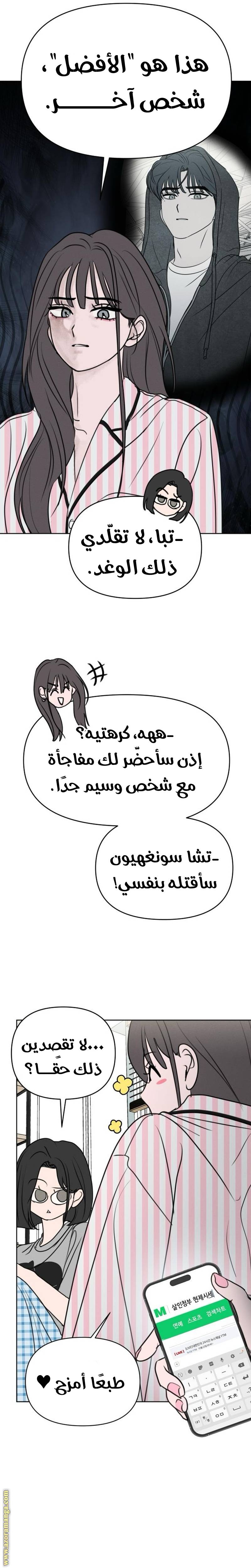 الصفحة 19