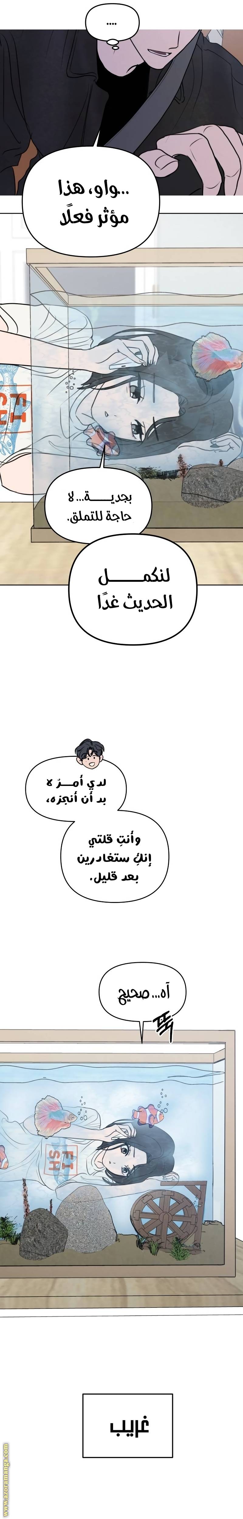 الصفحة 15