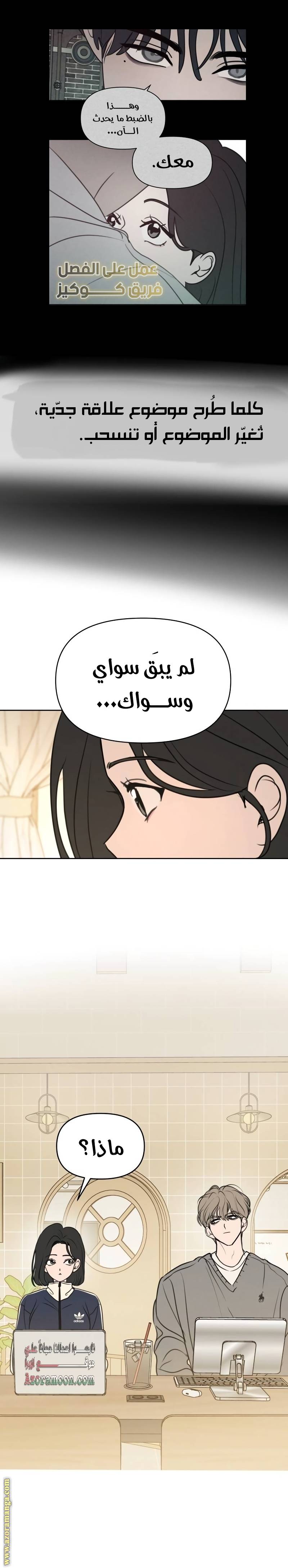 الصفحة 19