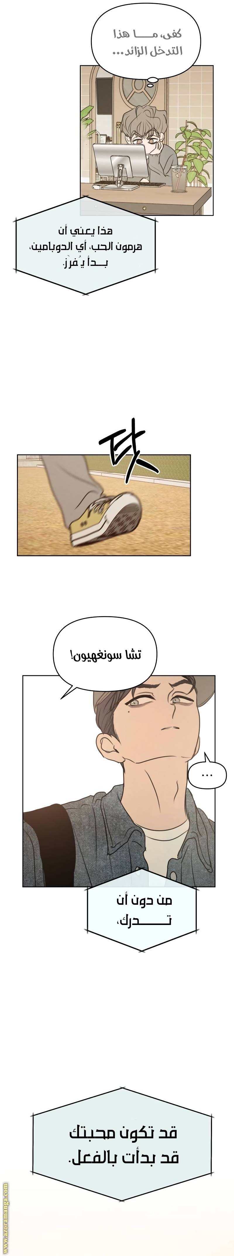 الصفحة 8