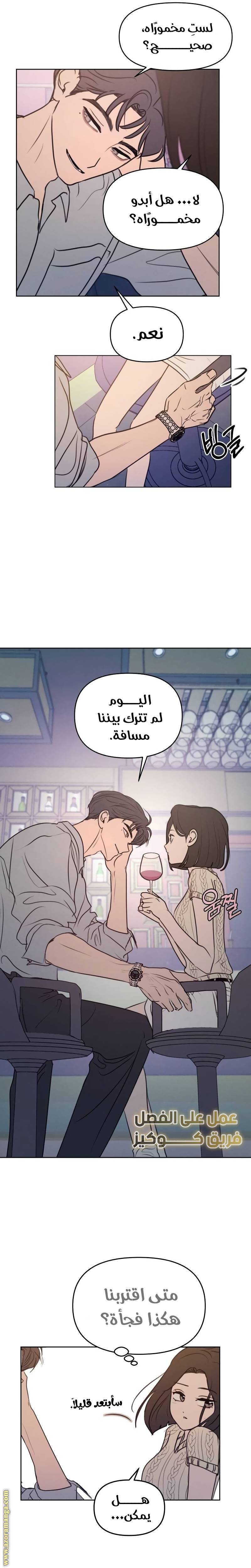 الصفحة 17