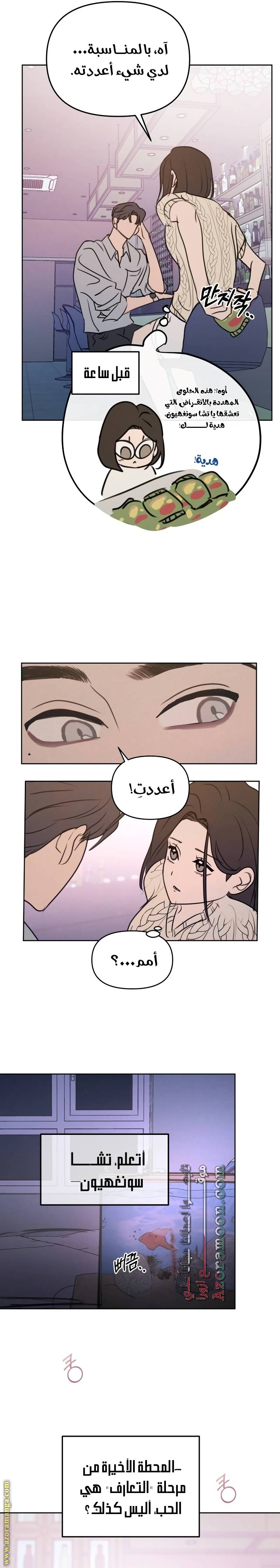 الصفحة 19