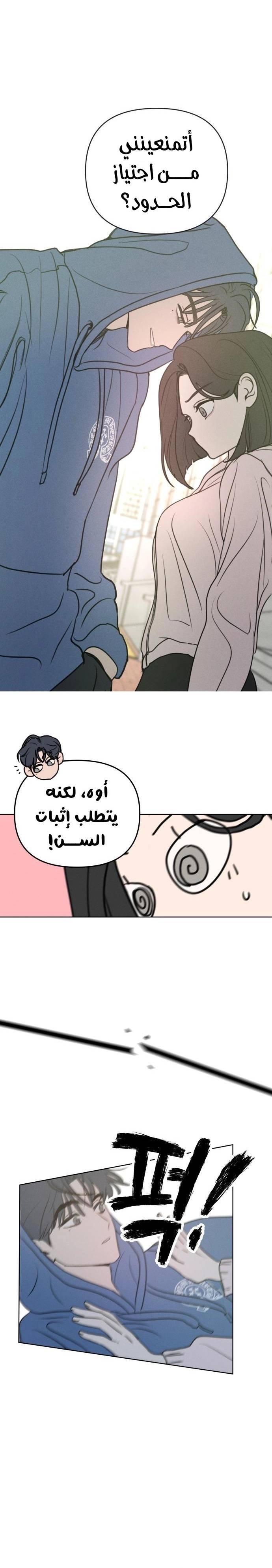 الصفحة 15