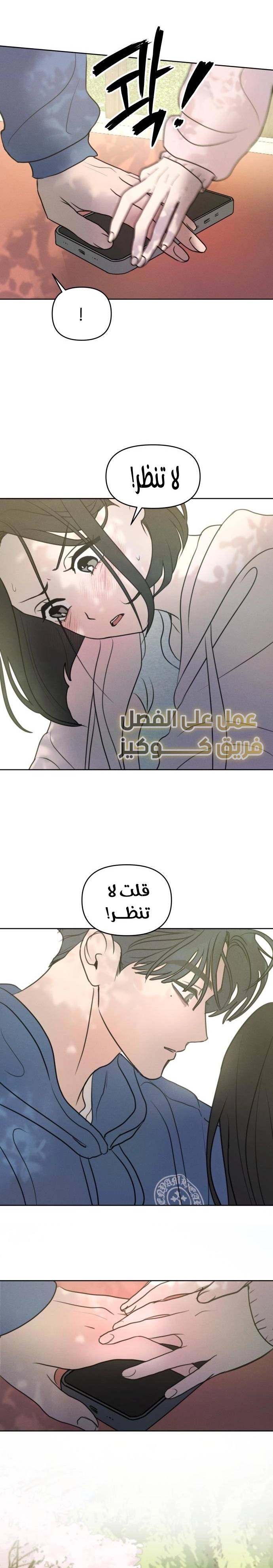 الصفحة 17