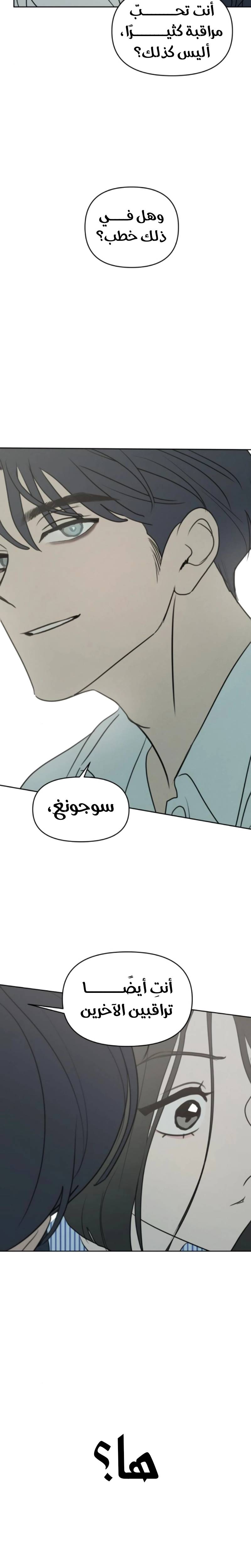 الصفحة 17