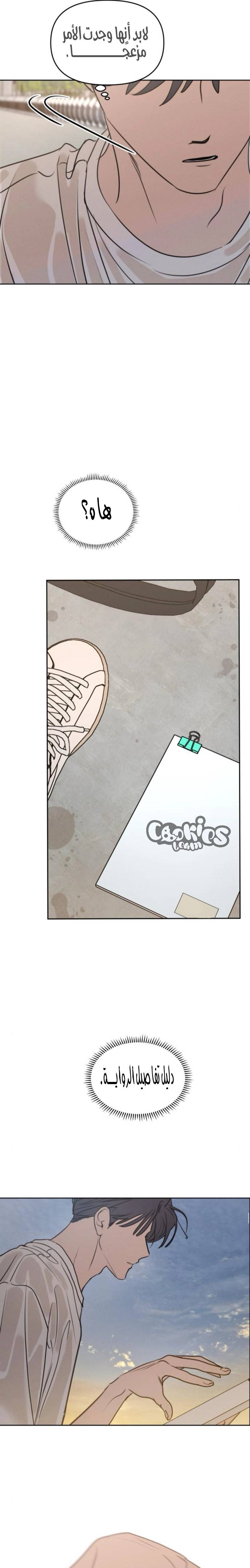 الصفحة 3