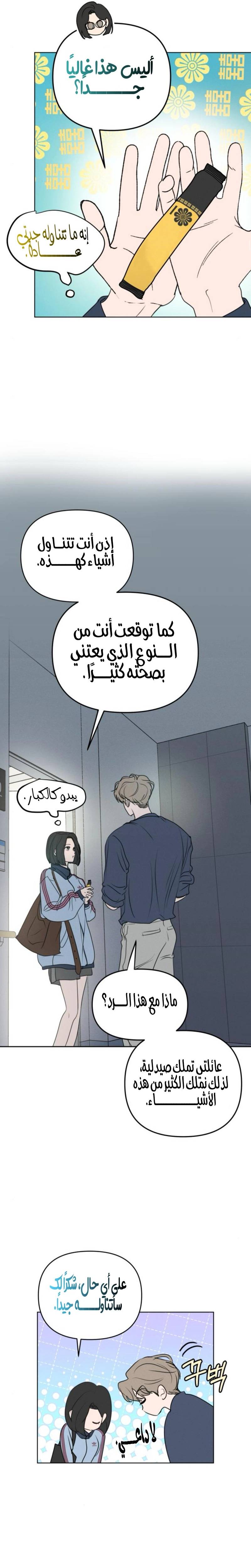 الصفحة 13