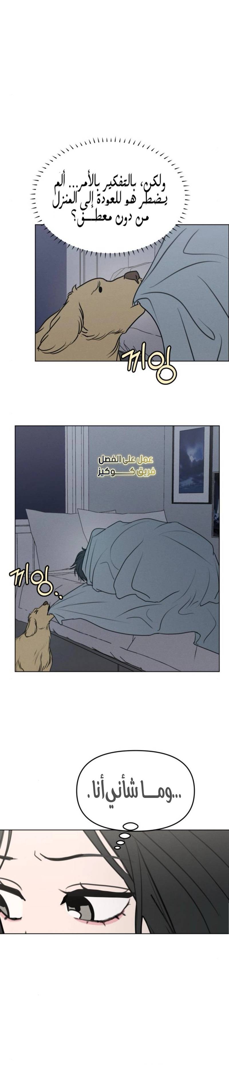 الصفحة 15