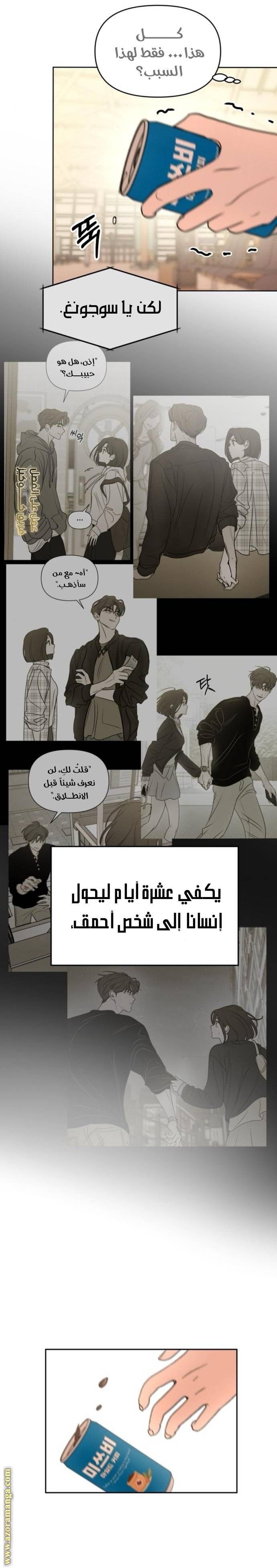 الصفحة 19