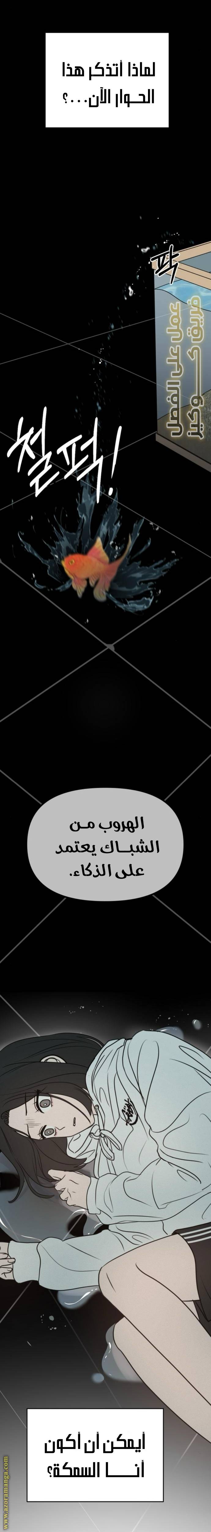 الصفحة 24