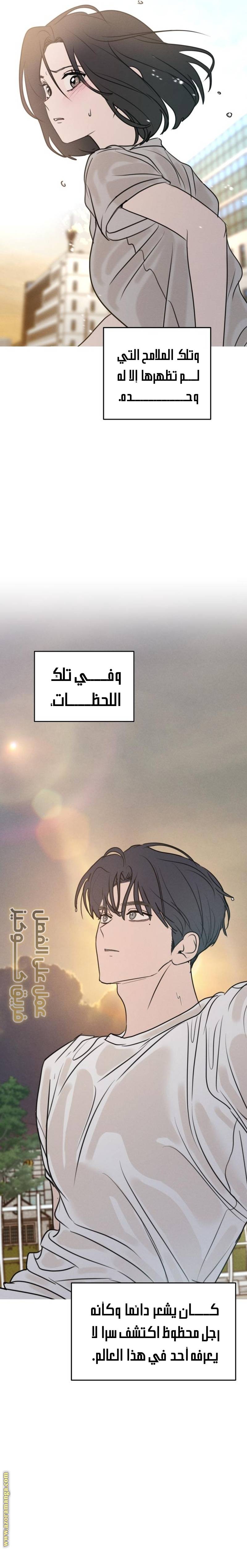 الصفحة 17