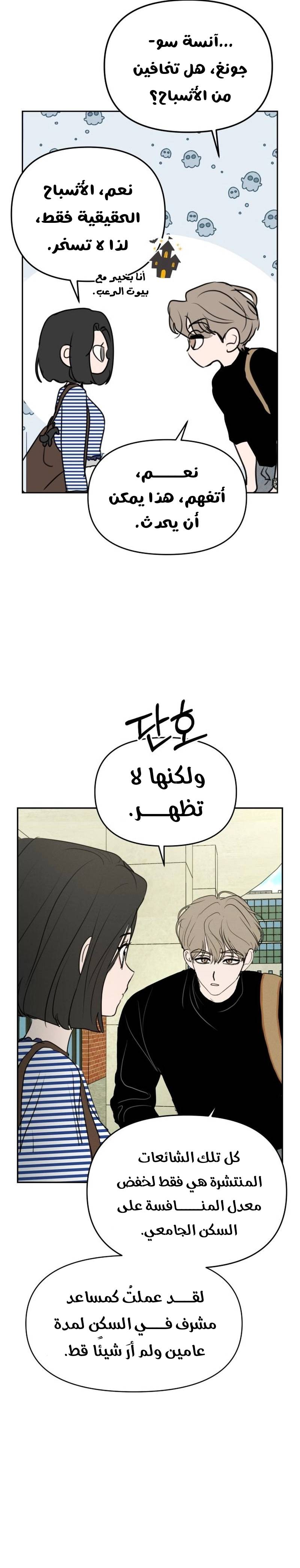 الصفحة 13