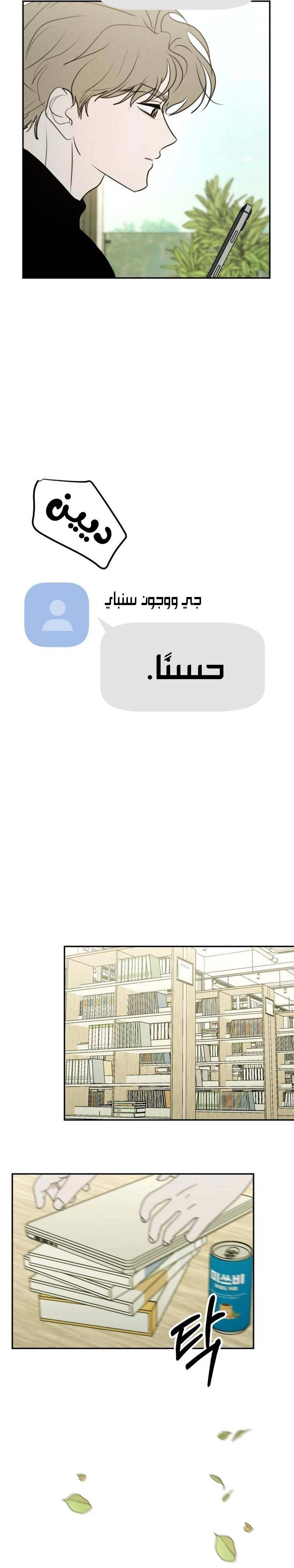 الصفحة 20