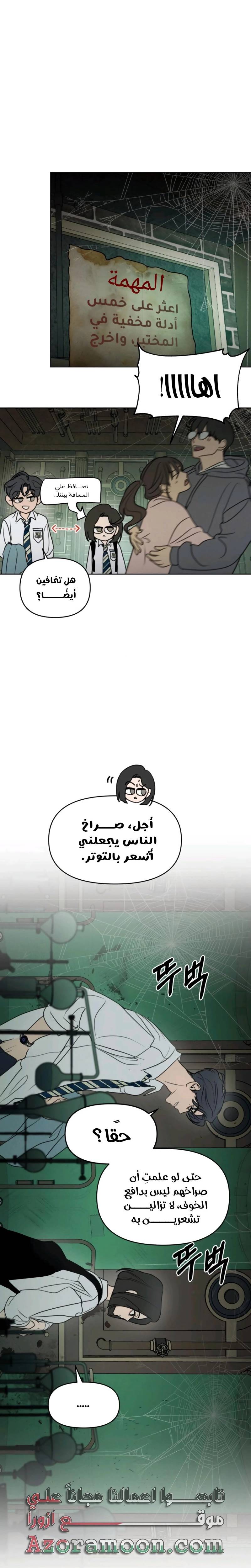 الصفحة 13