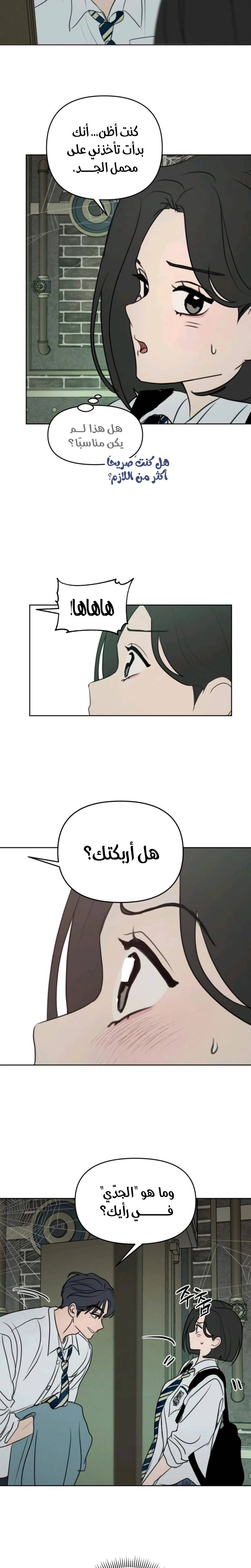 الصفحة 17