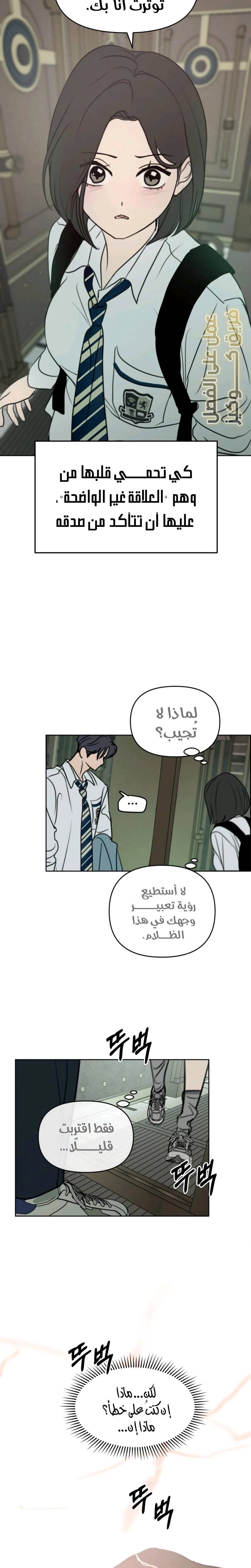 الصفحة 20