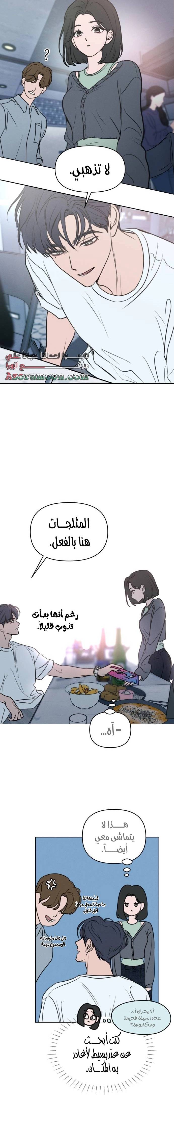 الصفحة 17