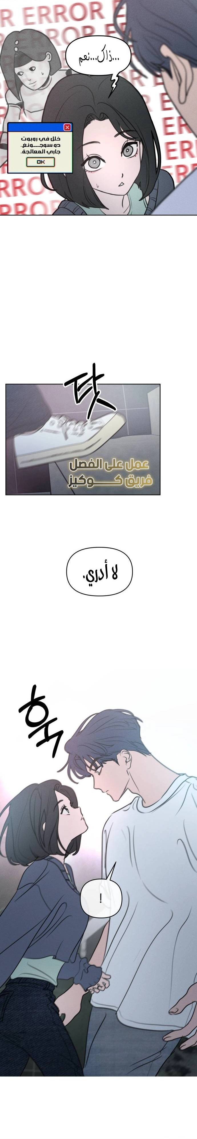 الصفحة 26