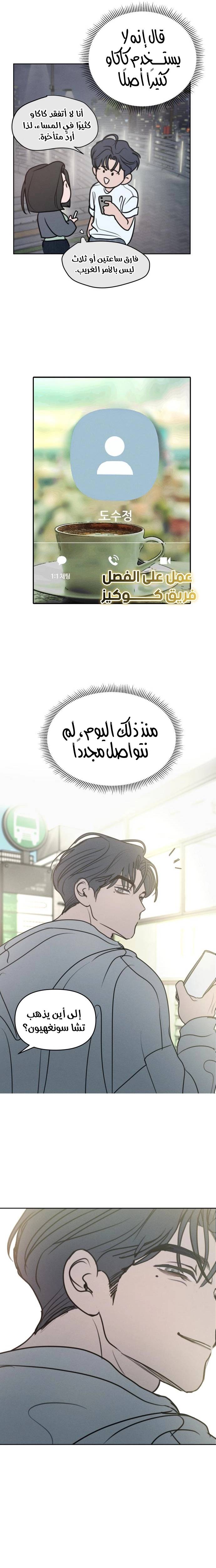 الصفحة 13