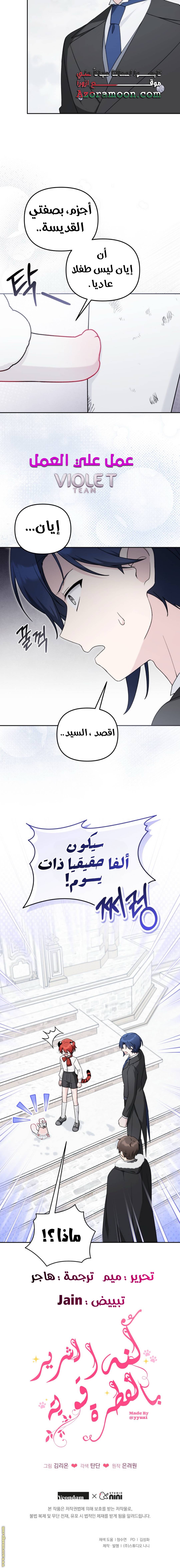الصفحة 13