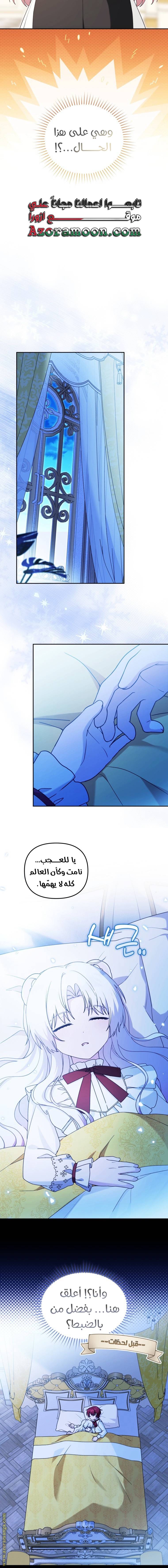 الصفحة 11