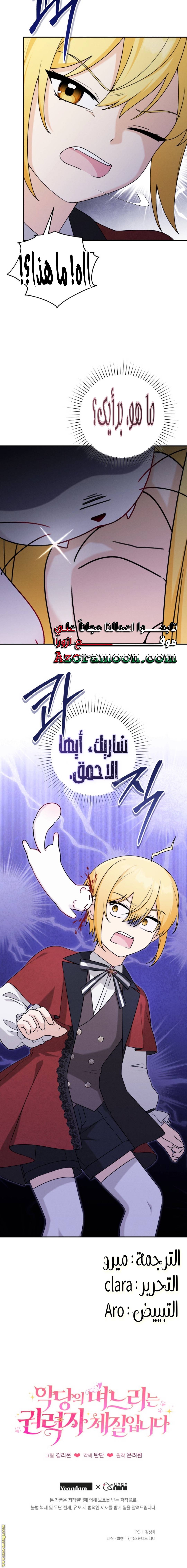 الصفحة 13