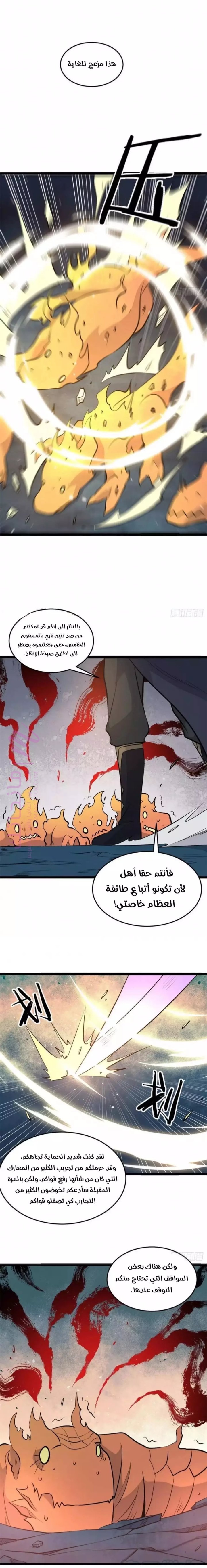 الصفحة 8