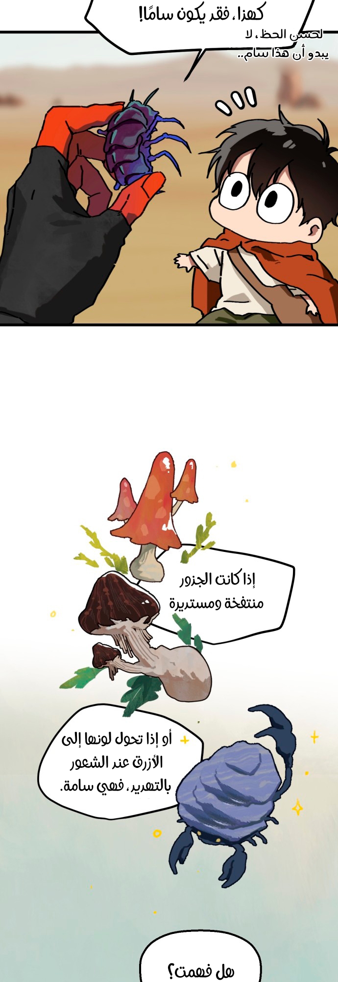 الصفحة 26