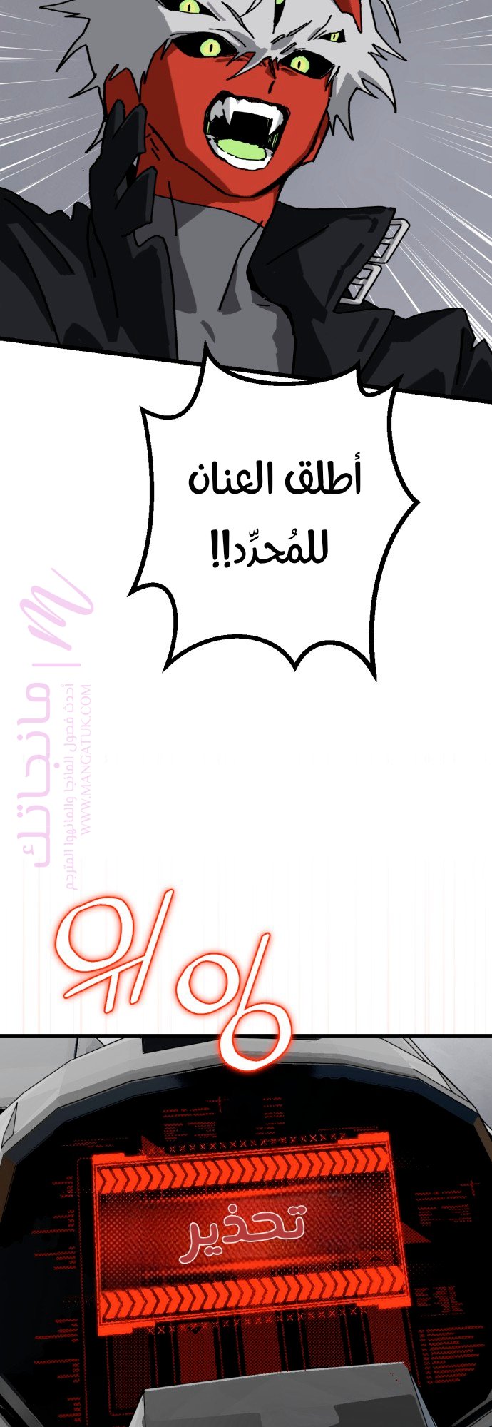 الصفحة 13