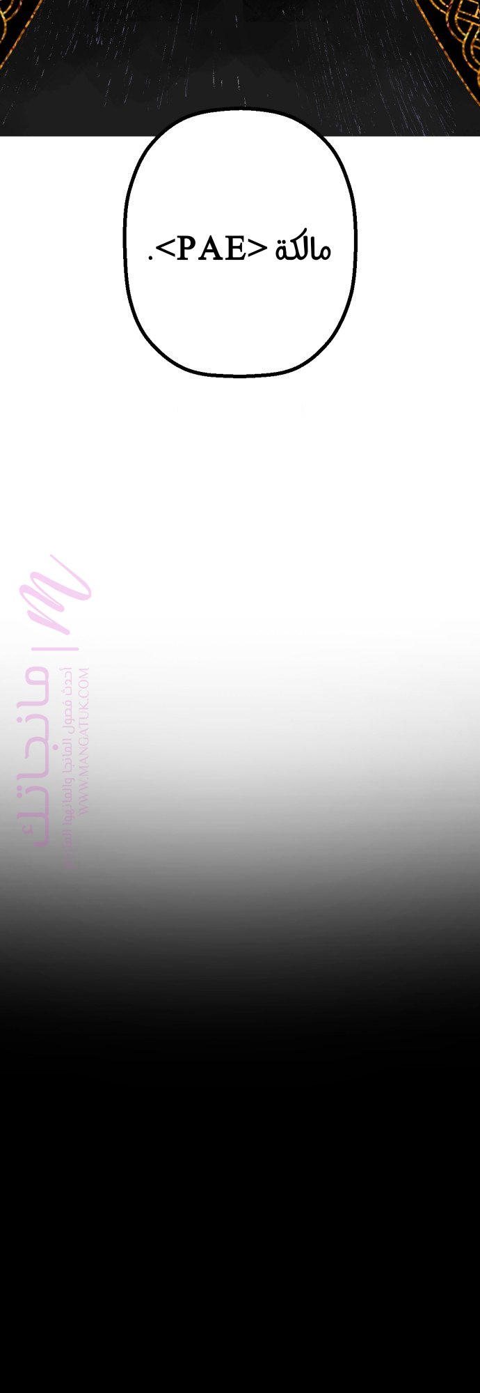 الصفحة 24