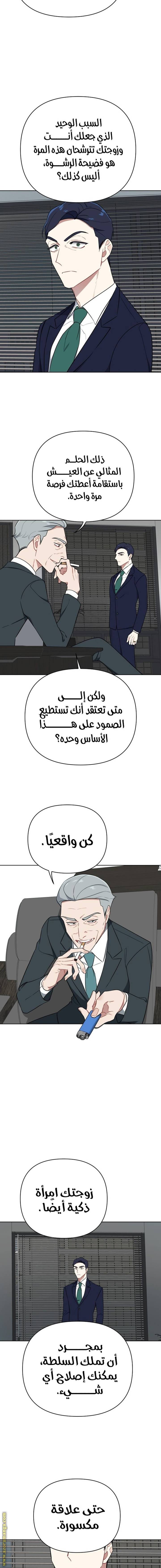 الصفحة 17