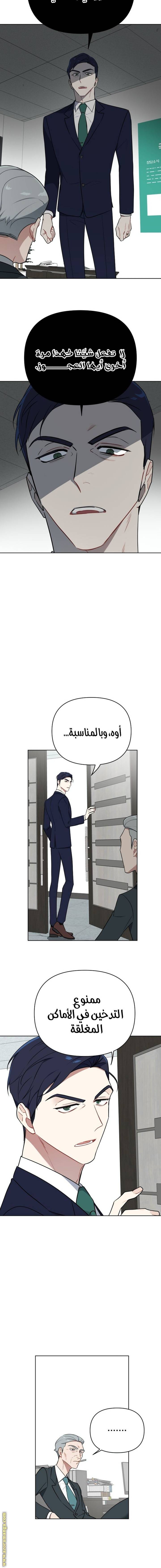 الصفحة 19