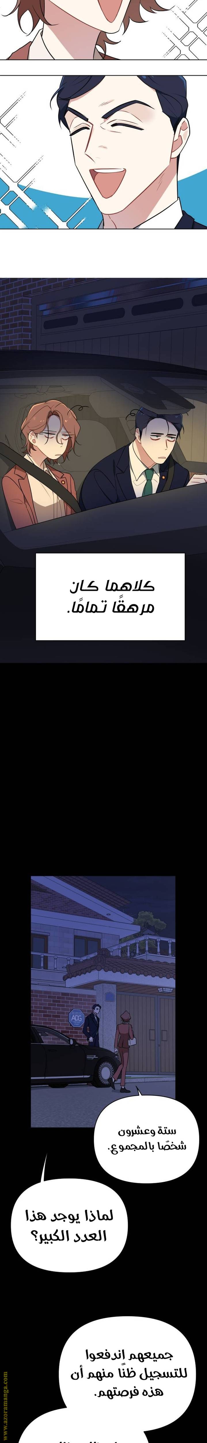 الصفحة 13