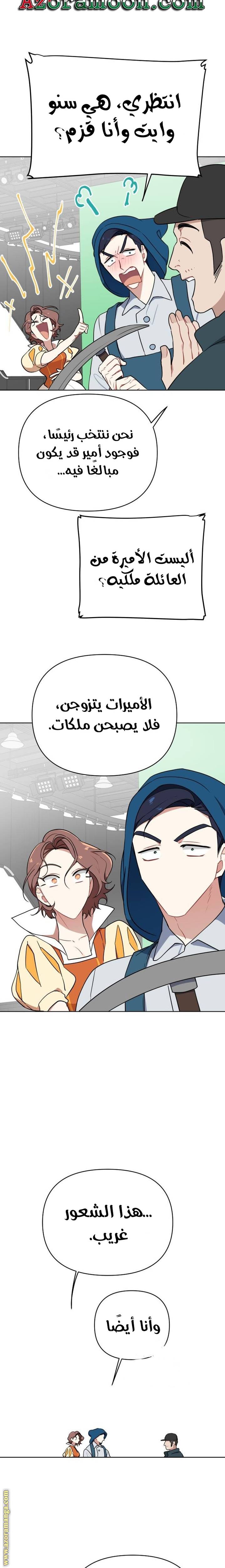 الصفحة 25